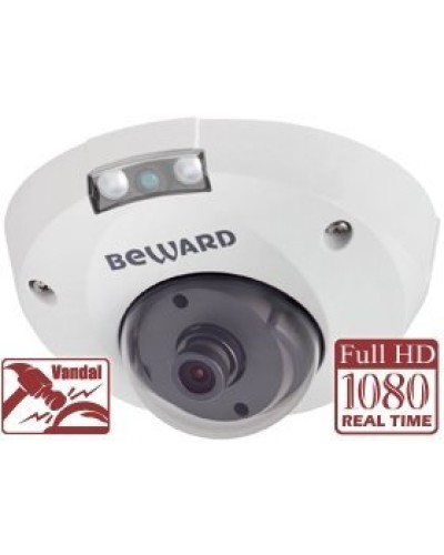 NK55630D8. IP-камера купольная. Beward в Братске