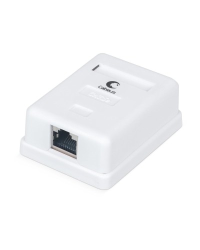 WS-8P8C-Cat.5e-SH-1 (7485c): Розетка RJ-45 в Братске