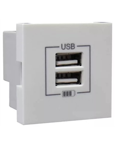Розетка USB двойная, зарядная, белая (45439 SBR): Розетка USB двойная в Братске