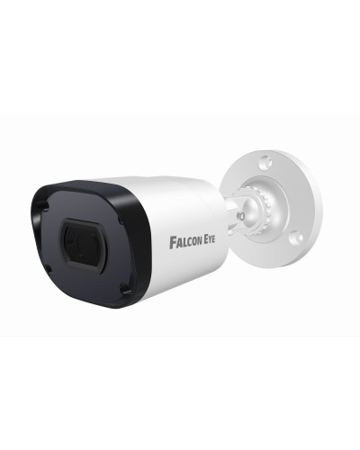 FE-IPC-BP2e-30p. Видеокамера IP цилиндрическая. Falcon EYE в Братске