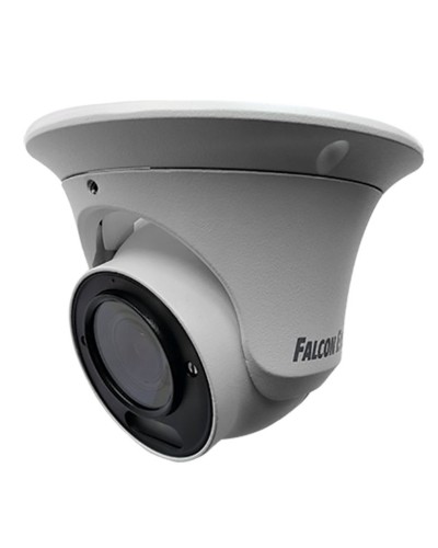 FE-IPC-DV2-40pa. Видеокамера IP купольная. Falcon EYE в Братске