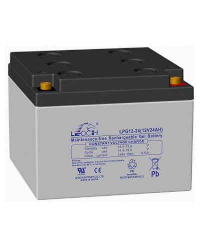 LEOCH LPG 12-24. Аккумулятор герметичный свинцово-кислотный. LEOCH в Братске