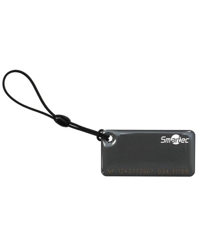 ST-PT015MF-GR. Брелок. Smartec в Братске