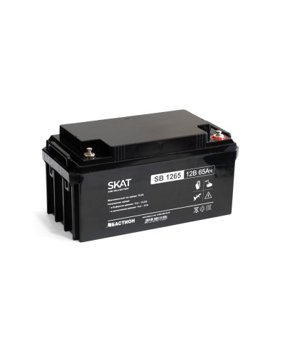 SKAT SB 1265 (2541). Аккумулятор герметичный свинцово-кислотный. Бастион в Братске
