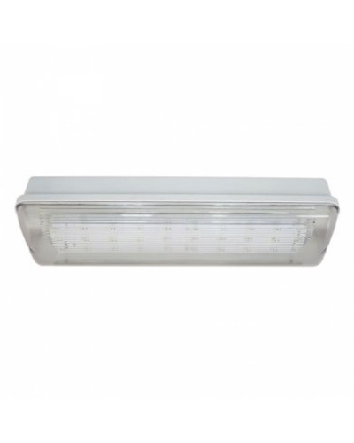 SL-213-30LED1.8 исп.1 IP54. Светильник аварийного освещения. ИП Раченков А.В. в Братске